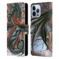 thumbnail image 1 of Head Case Designs Officially Licensed Ruth Thompson Dragons Malice Leather Book Wallet Case Cover Compatible with Apple iPhone 13 Pro Max, 1 of 6