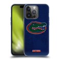 thumbnail image 1 of Head Case Designs Officially Licensed University Of Florida UF University Of Florida Distressed Look Soft Gel Case Compatible with Apple iPhone 14 Pro, 1 of 7