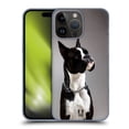 thumbnail image 1 of Head Case Designs Popular Dog Breeds Black And White Dog Boxer Hard Back Case Compatible with Apple iPhone 15 Pro Max, 1 of 7