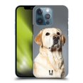 thumbnail image 1 of Head Case Designs Popular Dog Breeds Blonde Labrador Retriever Dog Hard Back Case Compatible with Apple iPhone 13 Pro, 1 of 7
