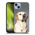 thumbnail image 1 of Head Case Designs Popular Dog Breeds Blonde Labrador Retriever Dog Hard Back Case Compatible with Apple iPhone 14 Plus, 1 of 7