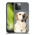 thumbnail image 1 of Head Case Designs Popular Dog Breeds Blonde Labrador Retriever Dog Soft Gel Case Compatible with Apple iPhone 14 Pro Max, 1 of 7