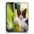 thumbnail image 1 of Head Case Designs Popular Dog Breeds Brown Border Collie In Summer Hard Back Case Compatible with Apple iPhone 11 Pro, 1 of 7