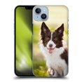 thumbnail image 1 of Head Case Designs Popular Dog Breeds Brown Border Collie In Summer Hard Back Case Compatible with Apple iPhone 14 Plus, 1 of 7
