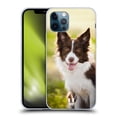 thumbnail image 1 of Head Case Designs Popular Dog Breeds Brown Border Collie In Summer Soft Gel Case Compatible with Apple iPhone 12 / iPhone 12 Pro, 1 of 7