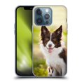 thumbnail image 1 of Head Case Designs Popular Dog Breeds Brown Border Collie In Summer Soft Gel Case Compatible with Apple iPhone 13 Pro, 1 of 7