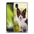 thumbnail image 1 of Head Case Designs Popular Dog Breeds Brown Border Collie In Summer Soft Gel Case Compatible with Samsung Galaxy A01 Core (2020), 1 of 7