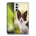 thumbnail image 1 of Head Case Designs Popular Dog Breeds Brown Border Collie In Summer Soft Gel Case Compatible with Samsung Galaxy S21+ 5G, 1 of 7
