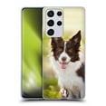 thumbnail image 1 of Head Case Designs Popular Dog Breeds Brown Border Collie In Summer Soft Gel Case Compatible with Samsung Galaxy S21 Ultra 5G, 1 of 7