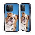 thumbnail image 1 of Head Case Designs Popular Dog Breeds English Bulldog Hybrid Case Compatible with Apple iPhone 15 Pro, 1 of 7