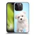 thumbnail image 1 of Head Case Designs Popular Dog Breeds Maltese Puppy Hard Back Case Compatible with Apple iPhone 15 Pro, 1 of 7