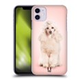 thumbnail image 1 of Head Case Designs Popular Dog Breeds Portrait Of Poodle Dog Hard Back Case Compatible with Apple iPhone 11, 1 of 7