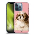 thumbnail image 1 of Head Case Designs Popular Dog Breeds Shih Tzu Puppy Hard Back Case Compatible with Apple iPhone 13 Pro, 1 of 7