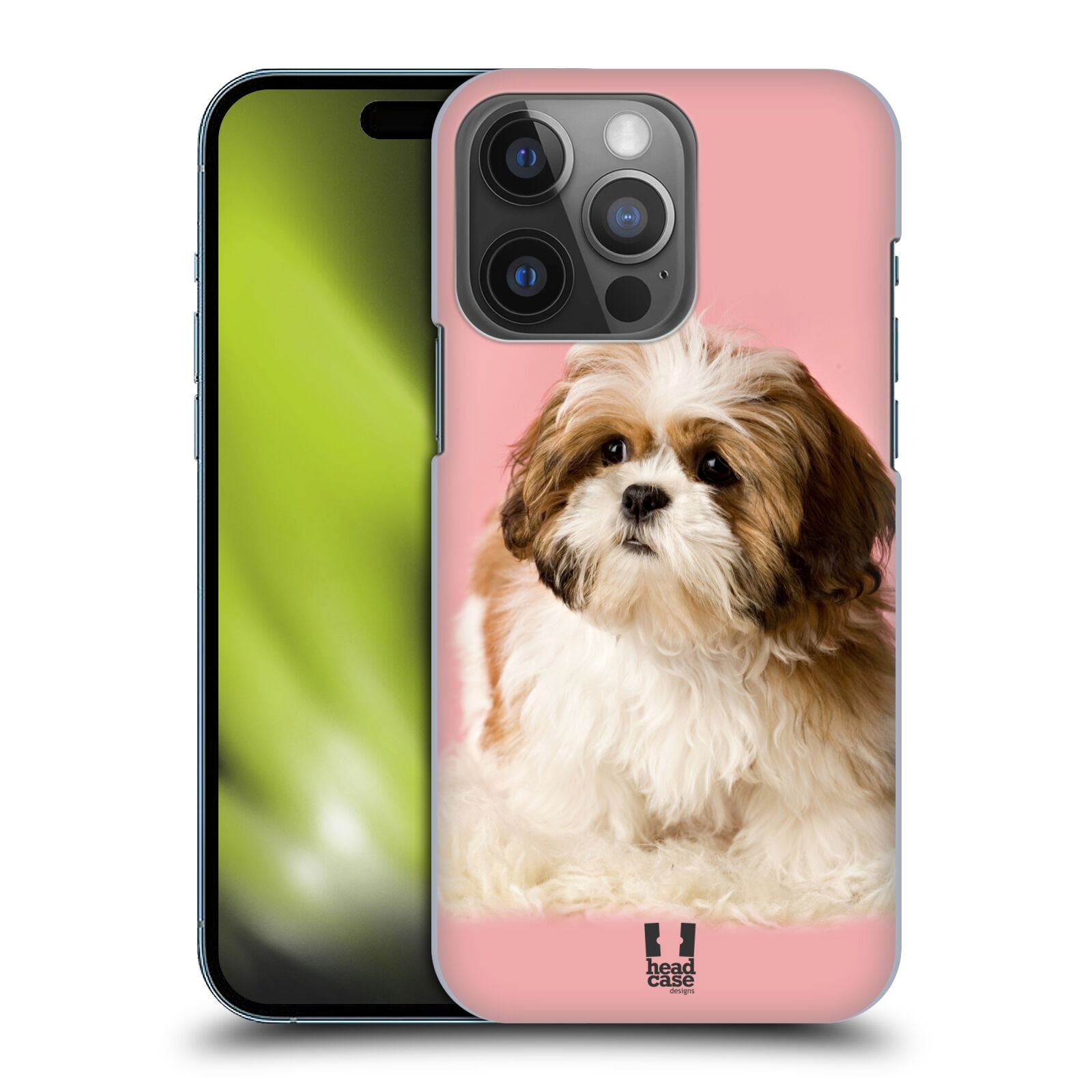 Shih tzu on sale popularity