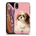 thumbnail image 1 of Head Case Designs Popular Dog Breeds Shih Tzu Puppy Hard Back Case Compatible with Apple iPhone XR, 1 of 7