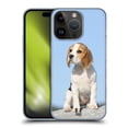 thumbnail image 1 of Head Case Designs Popular Dog Breeds Sitting Beagle Puppy Hard Back Case Compatible with Apple iPhone 15 Pro, 1 of 7