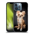 thumbnail image 1 of Head Case Designs Popular Dog Breeds Sitting Chihuahua Dog Hard Back Case Compatible with Apple iPhone 13 Pro, 1 of 7