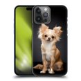 thumbnail image 1 of Head Case Designs Popular Dog Breeds Sitting Chihuahua Dog Hard Back Case Compatible with Apple iPhone 14 Pro Max, 1 of 7