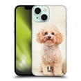 thumbnail image 1 of Head Case Designs Popular Dog Breeds Sitting White Poodle Hard Back Case Compatible with Apple iPhone 13 Mini, 1 of 7