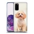 thumbnail image 1 of Head Case Designs Popular Dog Breeds Sitting White Poodle Soft Gel Case Compatible with Samsung Galaxy S20 / S20 5G, 1 of 7