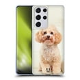 thumbnail image 1 of Head Case Designs Popular Dog Breeds Sitting White Poodle Soft Gel Case Compatible with Samsung Galaxy S21 Ultra 5G, 1 of 7