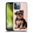 thumbnail image 1 of Head Case Designs Popular Dog Breeds Yorkshire Terrier Puppy Soft Gel Case Compatible with Apple iPhone 13 Pro Max, 1 of 7
