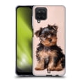 thumbnail image 1 of Head Case Designs Popular Dog Breeds Yorkshire Terrier Puppy Soft Gel Case Compatible with Samsung Galaxy A12 (2020), 1 of 7