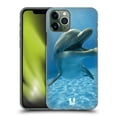 thumbnail image 1 of Head Case Designs Wildlife Close-Up Dolphin Hard Back Case Compatible with Apple iPhone 11 Pro, 1 of 7