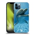 thumbnail image 1 of Head Case Designs Wildlife Close-Up Dolphin Hard Back Case Compatible with Apple iPhone 12 / iPhone 12 Pro, 1 of 7