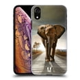 thumbnail image 1 of Head Case Designs Wildlife Elephant Walking On The Road Hard Back Case Compatible with Apple iPhone XR, 1 of 7