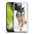 thumbnail image 1 of Head Case Designs Wildlife Grey Wolf Running Hard Back Case Compatible with Apple iPhone 14 Pro, 1 of 7