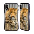 thumbnail image 1 of Head Case Designs Wildlife Leopard Portrait Hybrid Case Compatible with Apple iPhone XR, 1 of 7