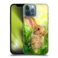 thumbnail image 1 of Head Case Designs Wildlife Little Easter Rabbit Hard Back Case Compatible with Apple iPhone 13 Pro Max, 1 of 7