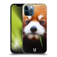 thumbnail image 1 of Head Case Designs Wildlife Red Panda Hard Back Case Compatible with Apple iPhone 12 Pro Max, 1 of 7