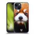 thumbnail image 1 of Head Case Designs Wildlife Red Panda Hard Back Case Compatible with Apple iPhone 15, 1 of 7