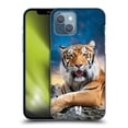 thumbnail image 1 of Head Case Designs Wildlife Tiger Sky Background Hard Back Case Compatible with Apple iPhone 13, 1 of 7
