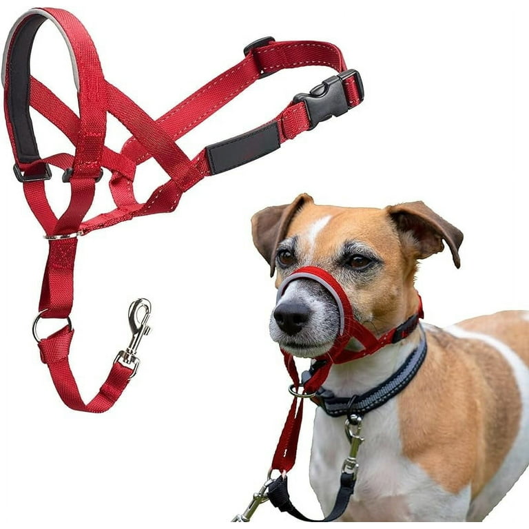 Head harness for dogs that pull 2025