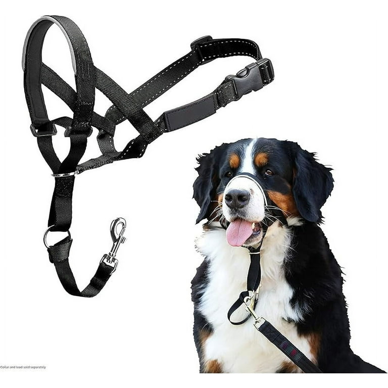 Dog nose lead hot sale