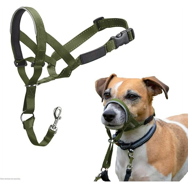 Nose leash for dogs hotsell