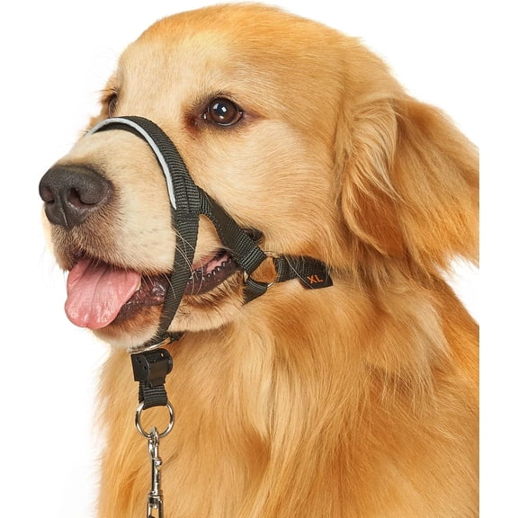 Head Collar for Dogs, No Pull Halter Lar Medium Small Dog Stops Heavy Pulling, Muzzle Leash with Padded Safety Strap Walking Training(, L)