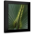 thumbnail image 1 of Head, Danny 11x14 Black Modern Framed Museum Art Print Titled - Palm Detail IV, 1 of 5