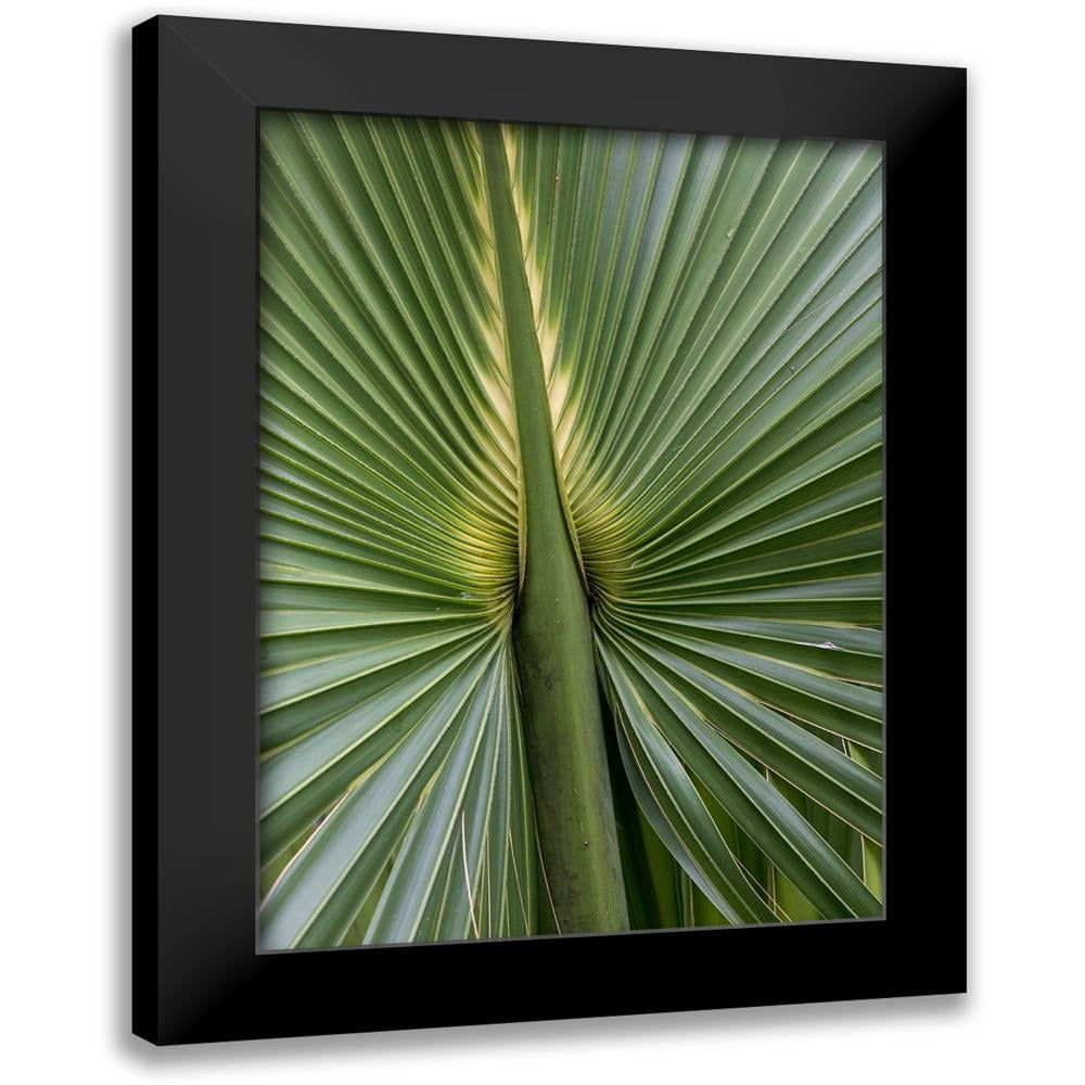 Green Tropical Leaf Print in Black Modern Frame