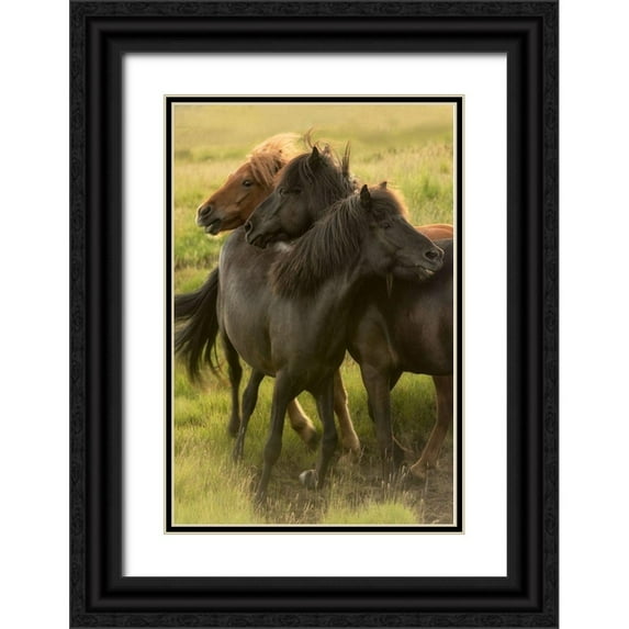 Head, Danny 11x14 Black Ornate Wood Framed with Double Matting Museum Art Print Titled - Play Time