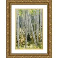 thumbnail image 1 of Head, Danny 11x14 Gold Ornate Wood Framed with Double Matting Museum Art Print Titled - Aspen Trunks IV, 1 of 4