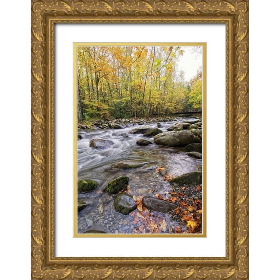 Head, Danny 11x14 Gold Ornate Wood Framed with Double Matting Museum Art Print Titled - Roaring Waters III