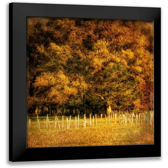 Head, Danny 12x12 Black Modern Framed Museum Art Print Titled - Fence Row