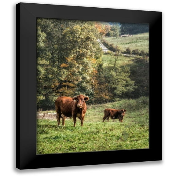 Head, Danny 12x14 Black Modern Framed Museum Art Print Titled - Moo