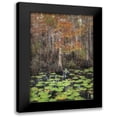 thumbnail image 1 of Head, Danny 13x18 Black Modern Framed Museum Art Print Titled - Black Water I, 1 of 5