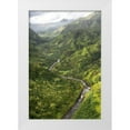 thumbnail image 1 of Head, Danny 13x18 White Modern Wood Framed Museum Art Print Titled - Hanalei Valley I, 1 of 4