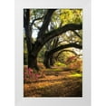 thumbnail image 1 of Head, Danny 13x18 White Modern Wood Framed Museum Art Print Titled - Under the Live Oaks II, 1 of 4